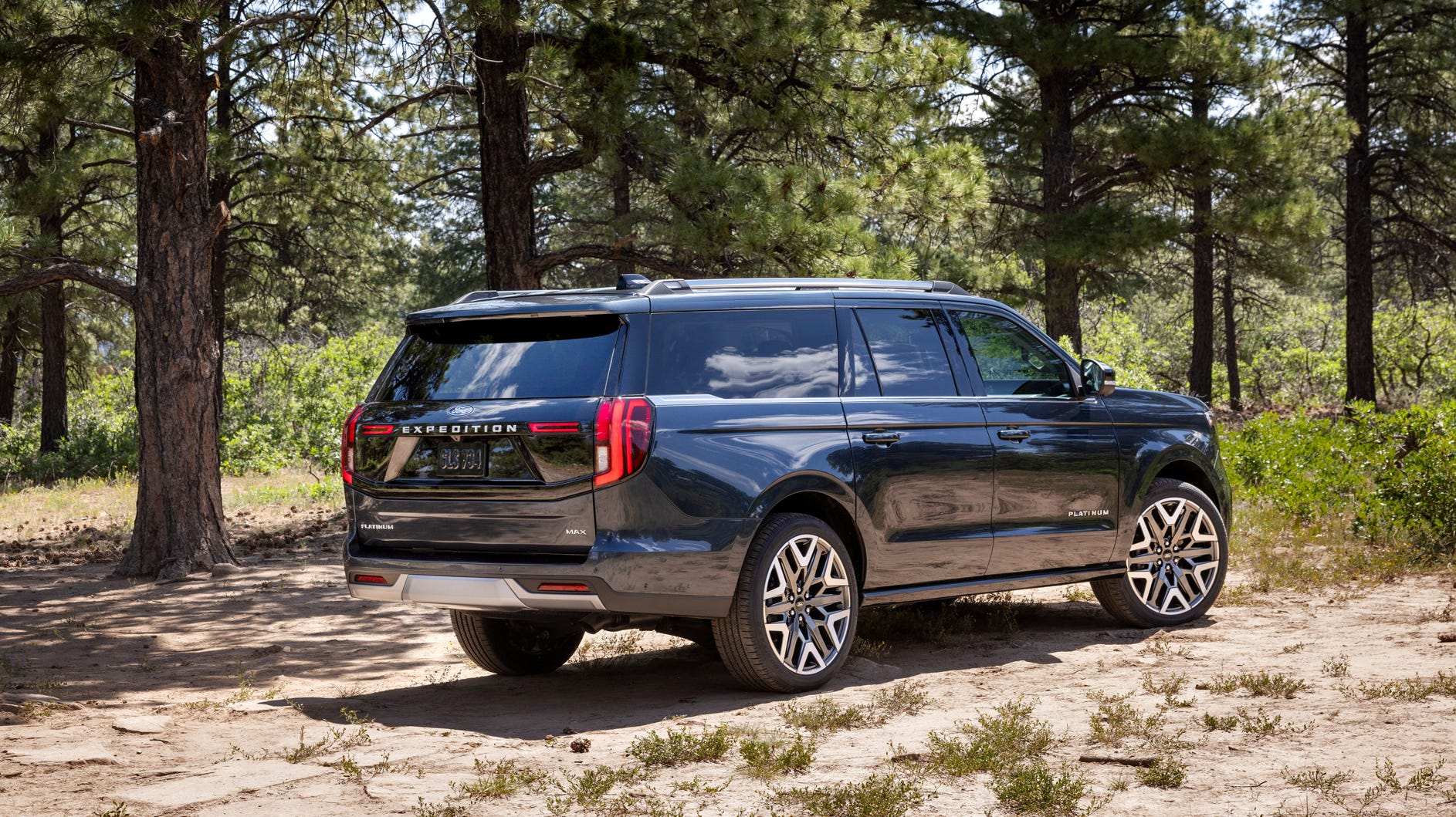 Expedition / Expedition Max