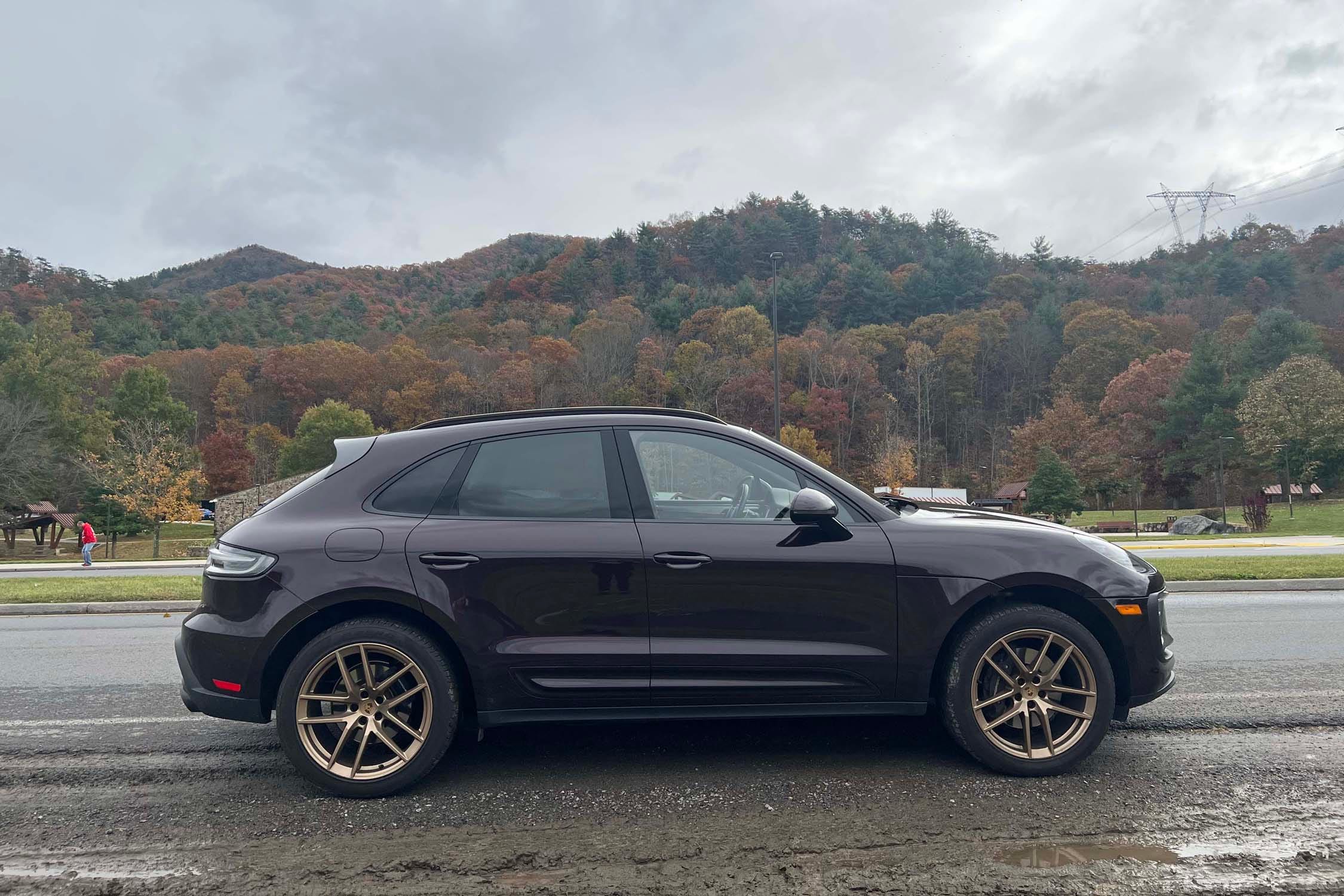 Macan