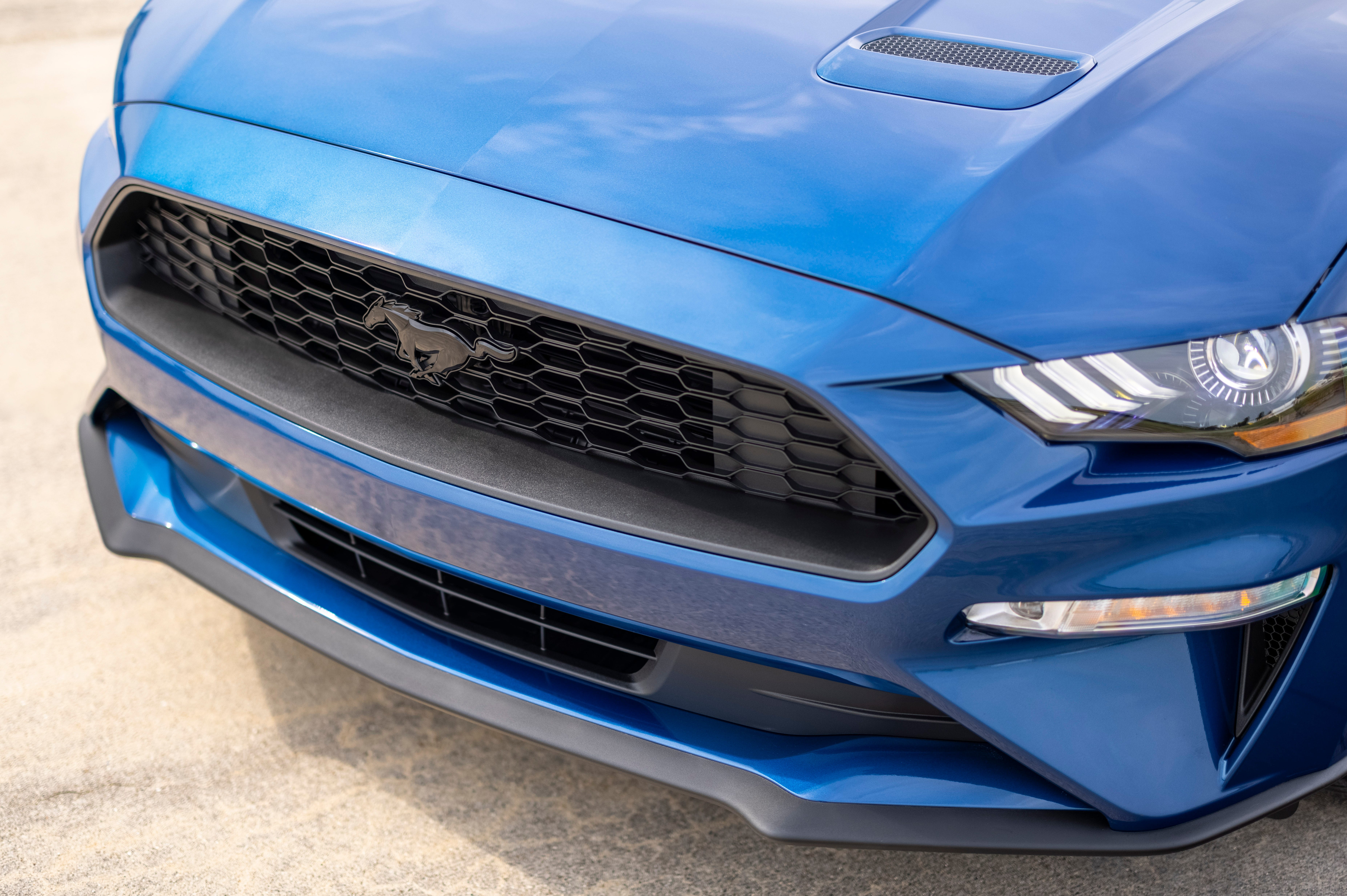 Mustang