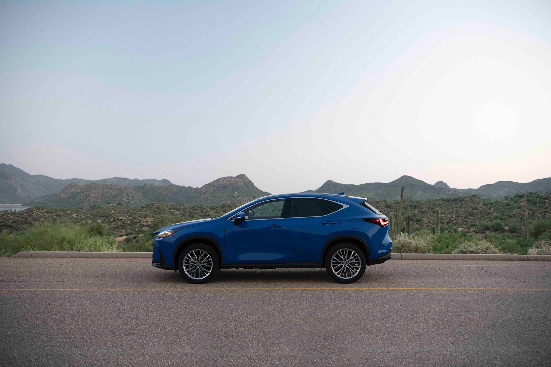 NX Hybrid