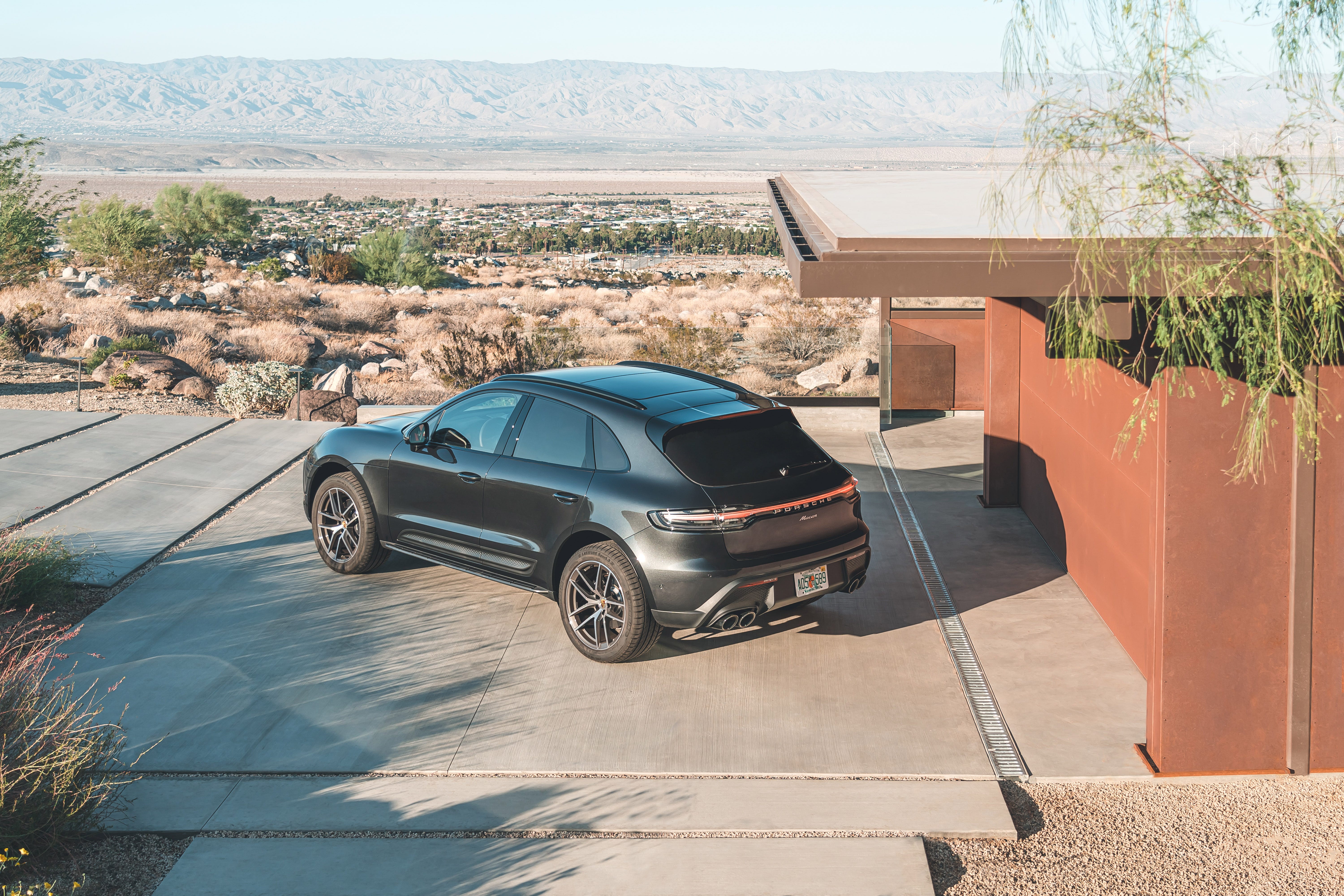 Macan
