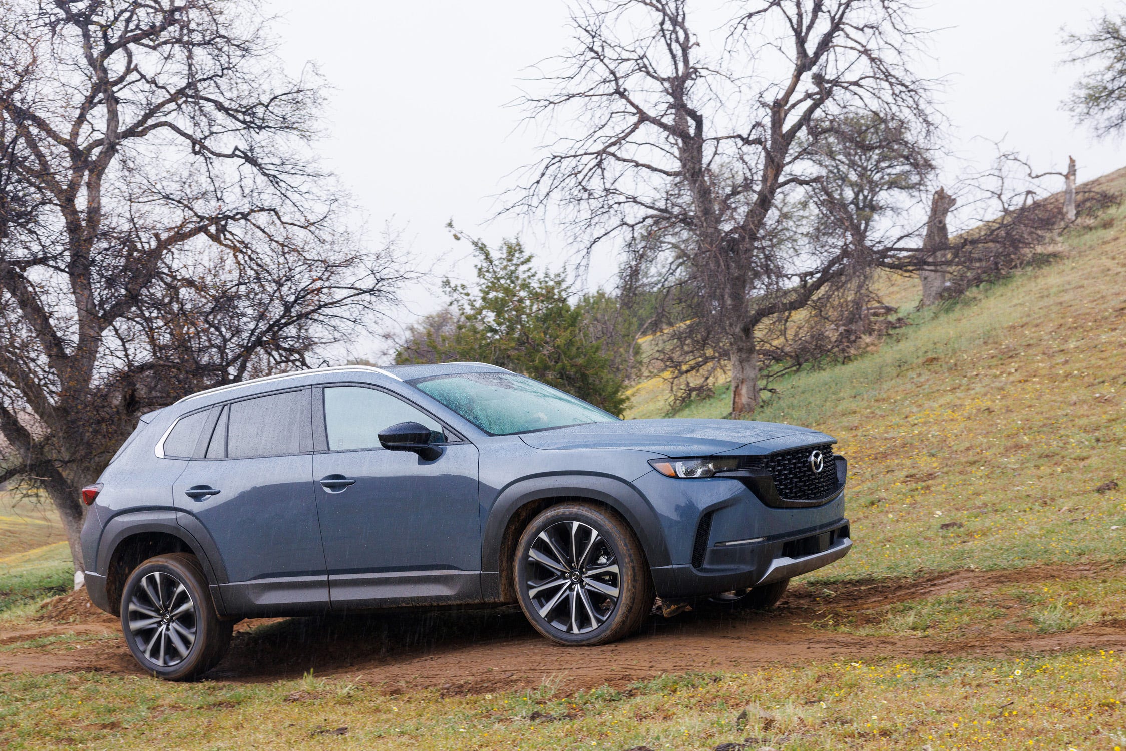 CX-50
