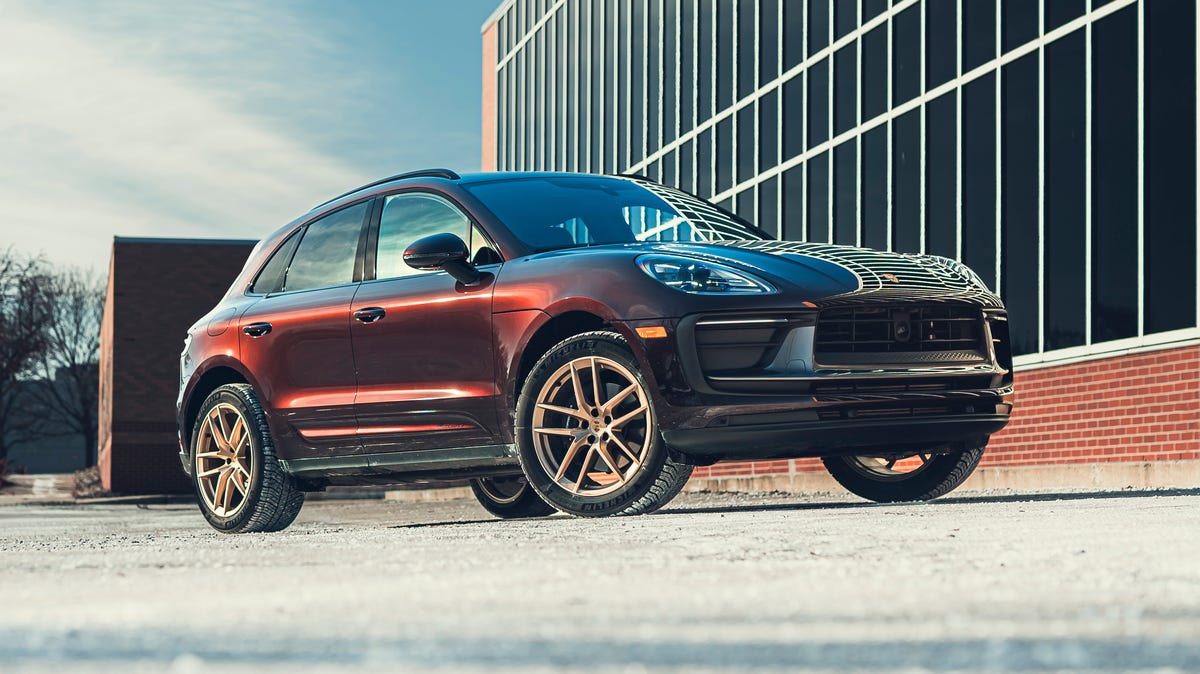 Macan