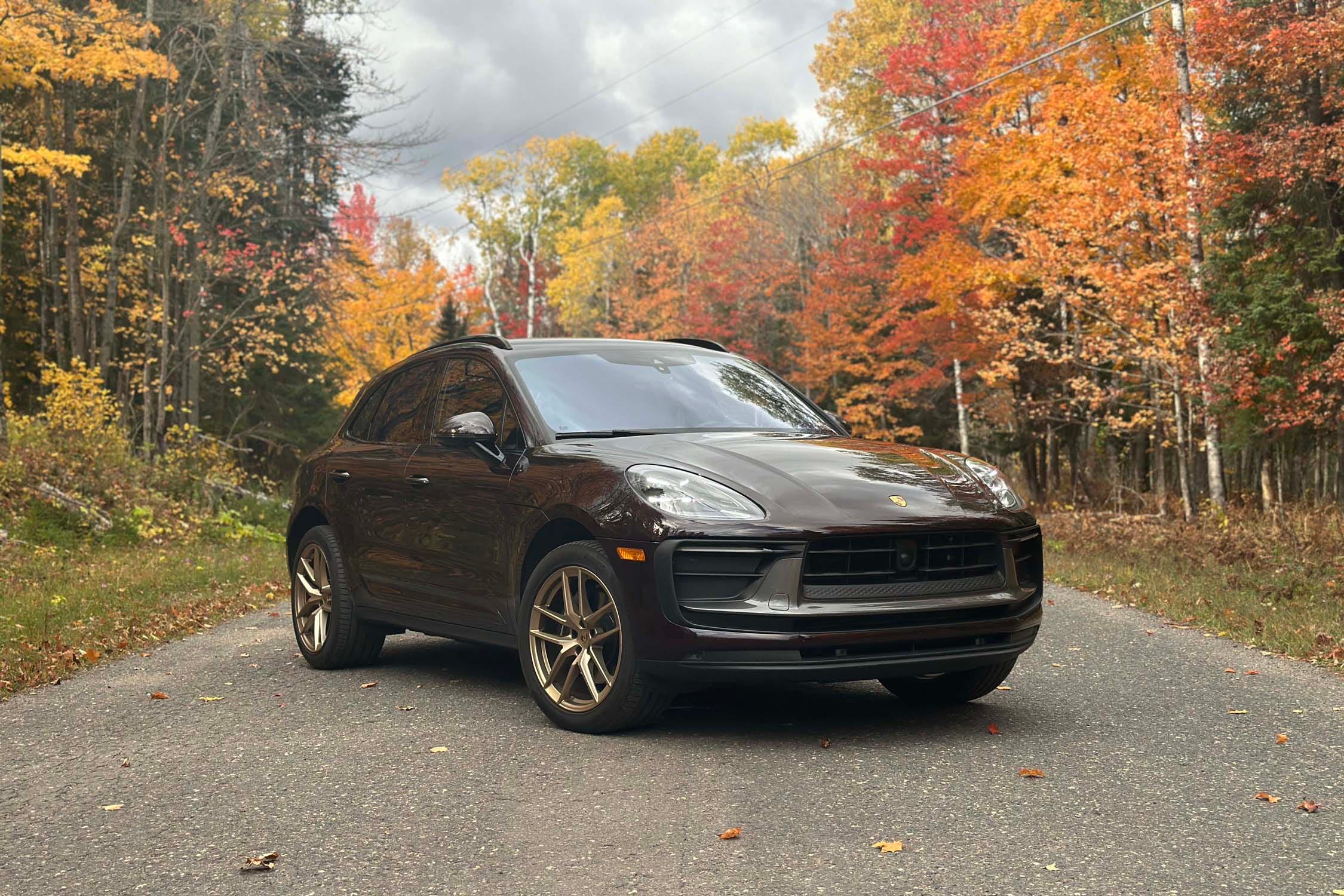Macan