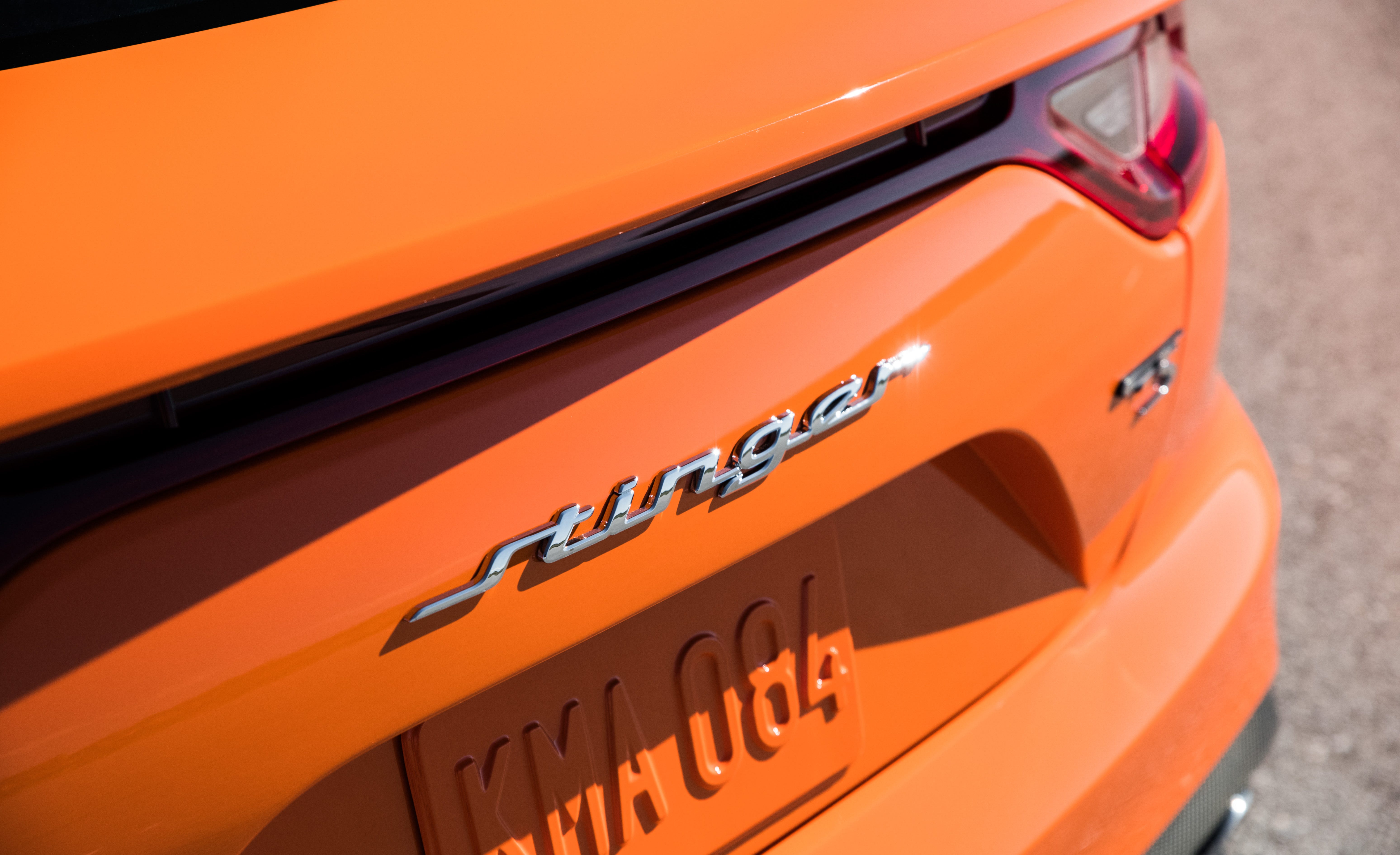 Stinger