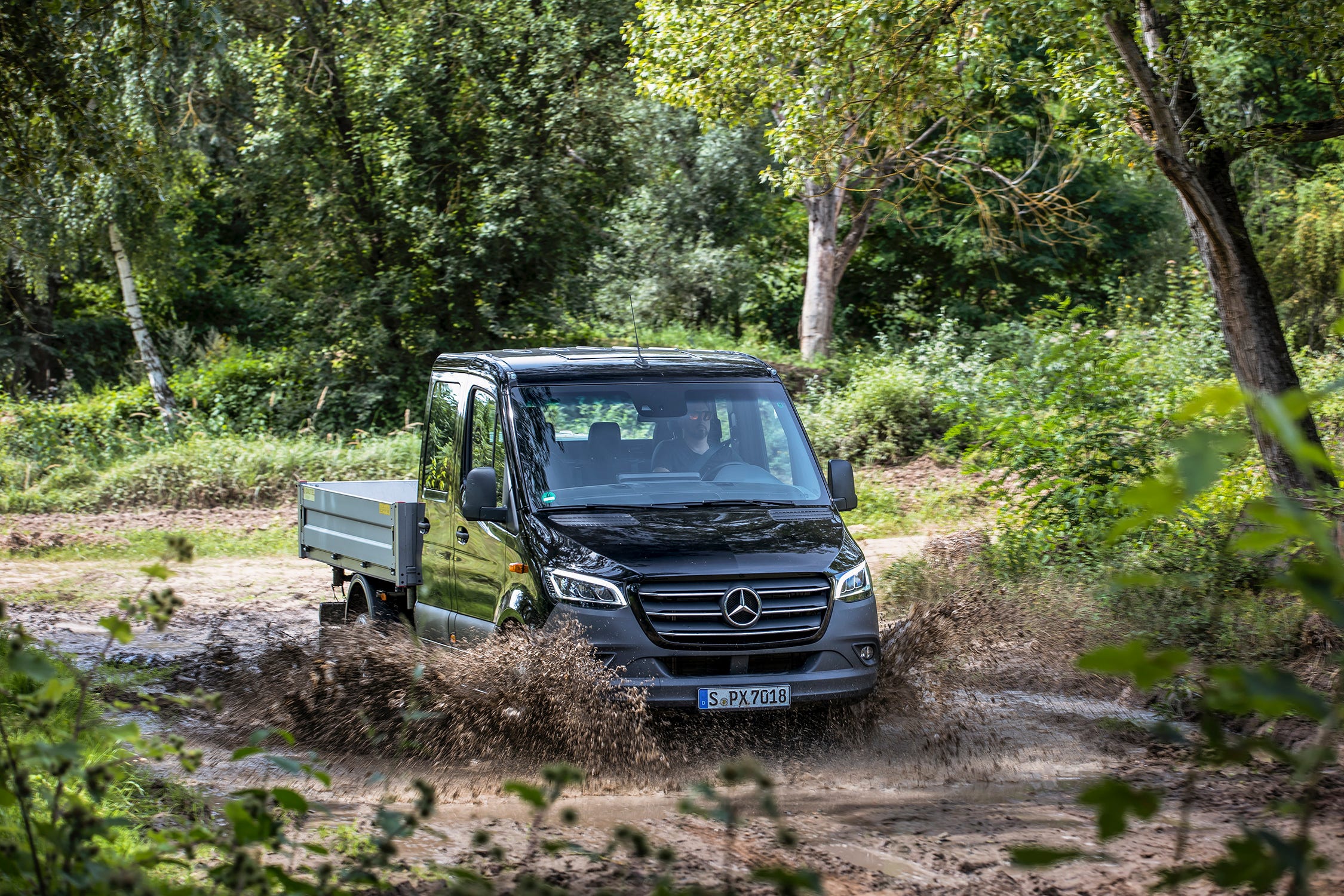 Sprinter