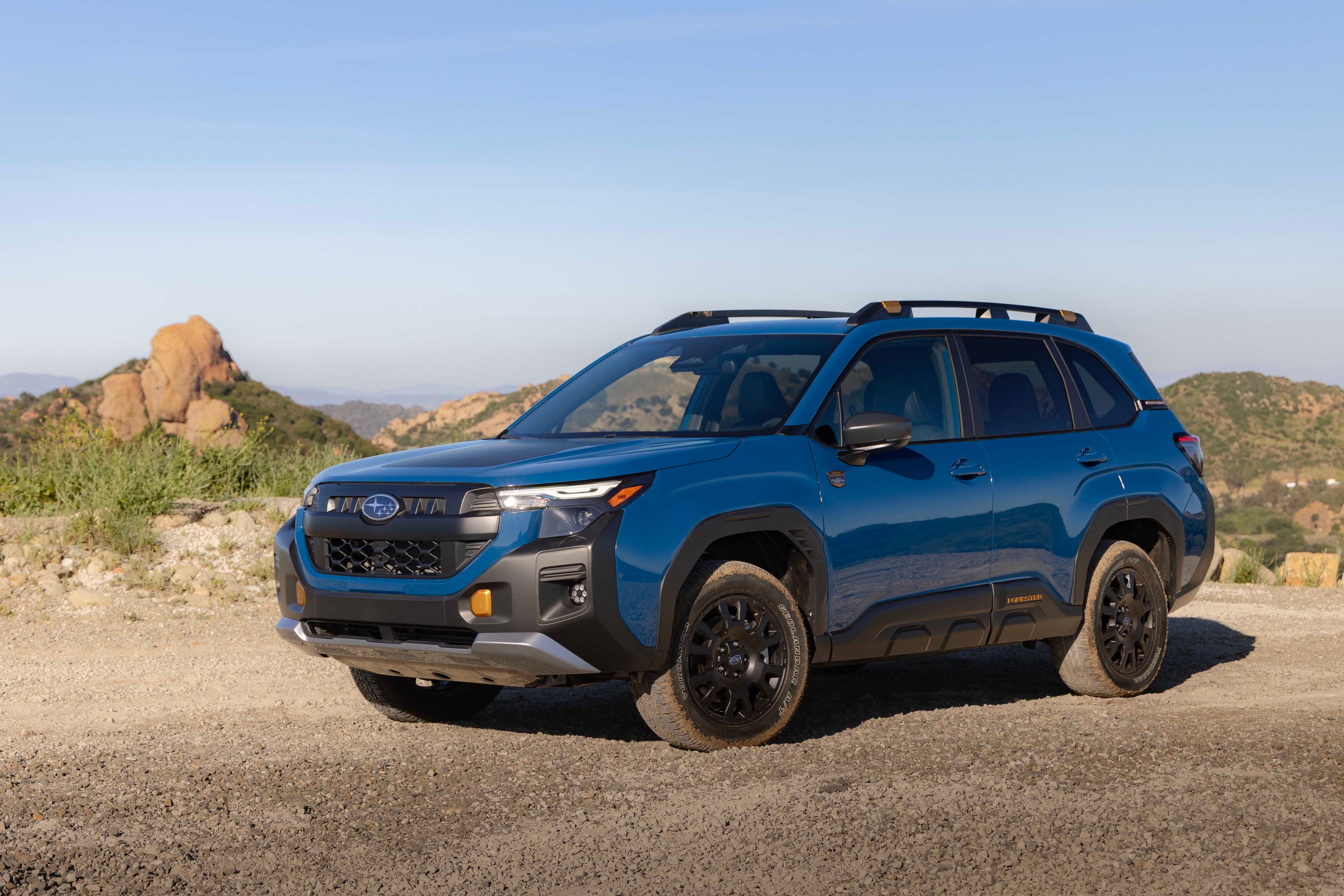 Forester Hybrid