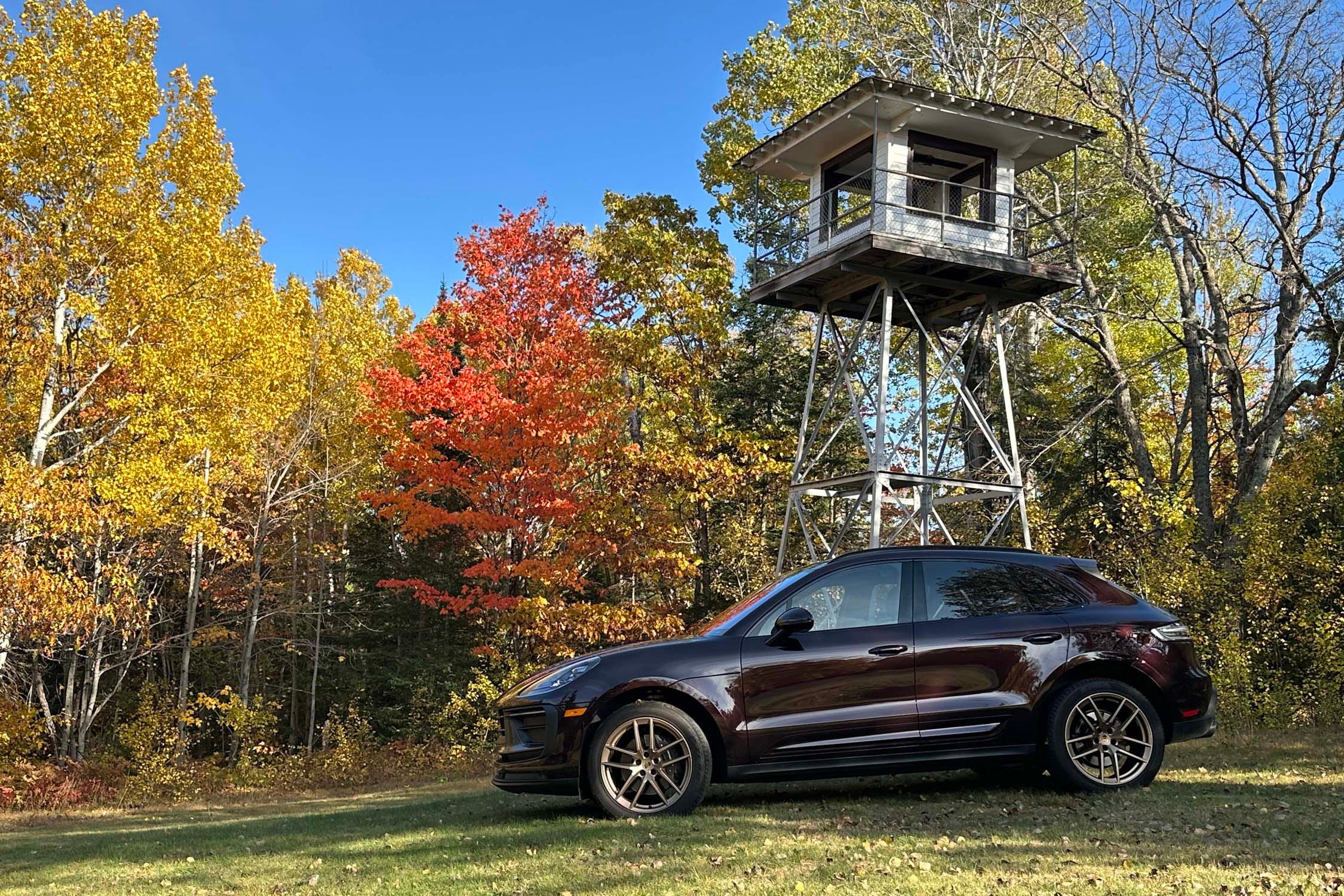 Macan