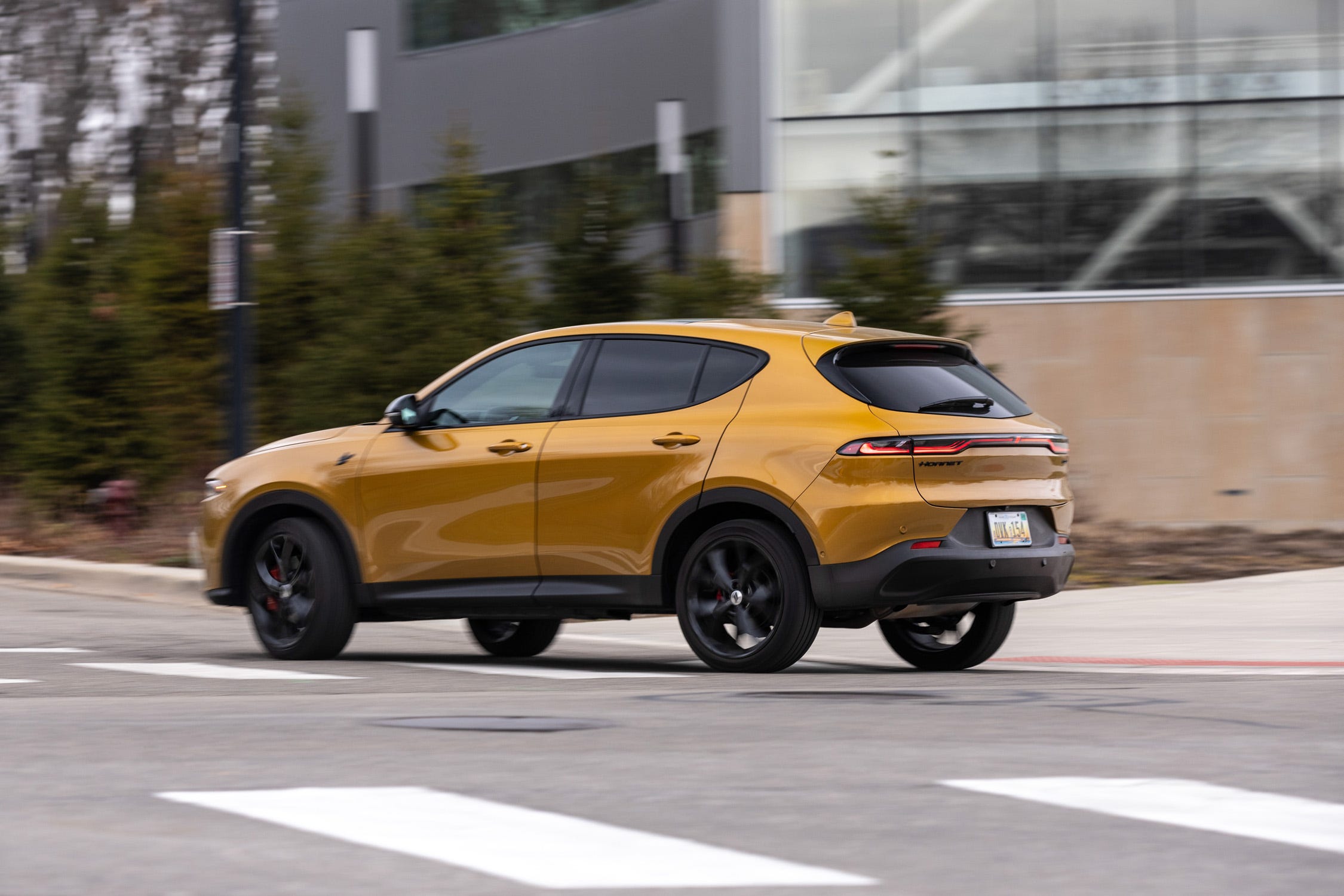 Hornet