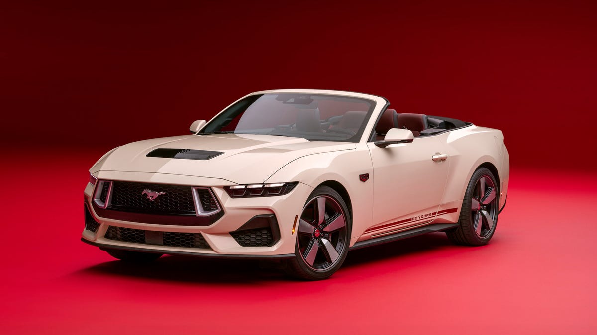 Mustang photo