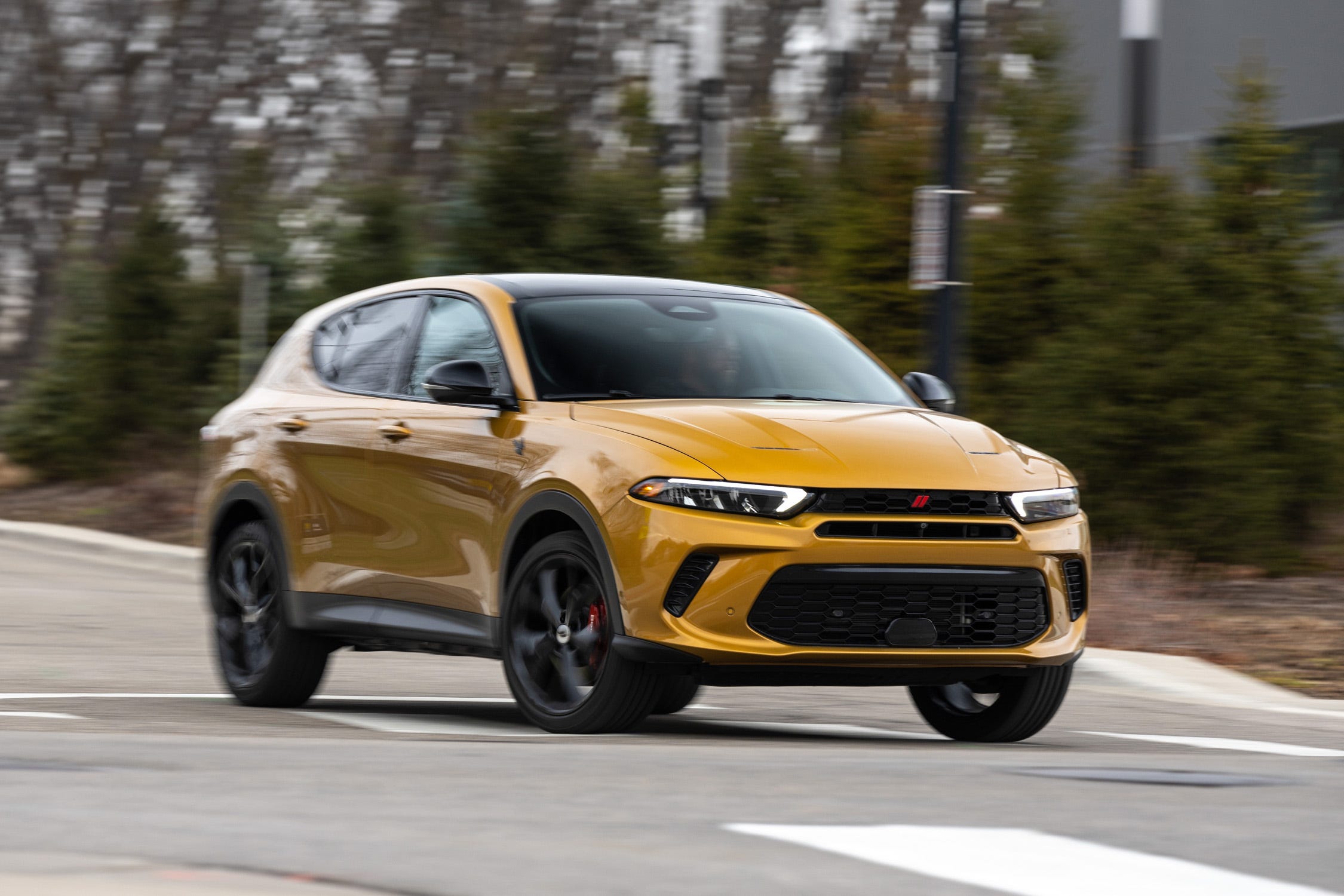 Hornet