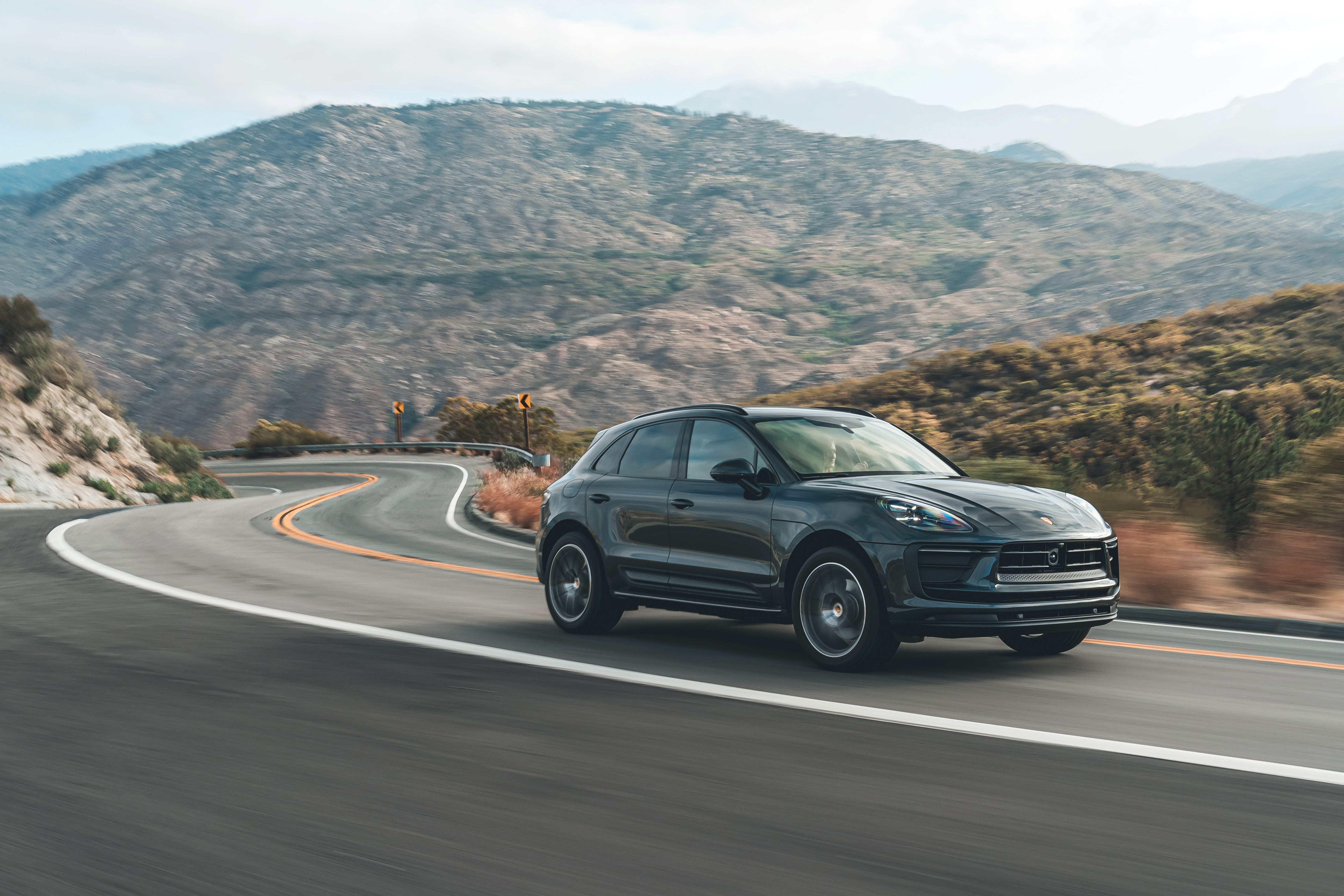 Macan