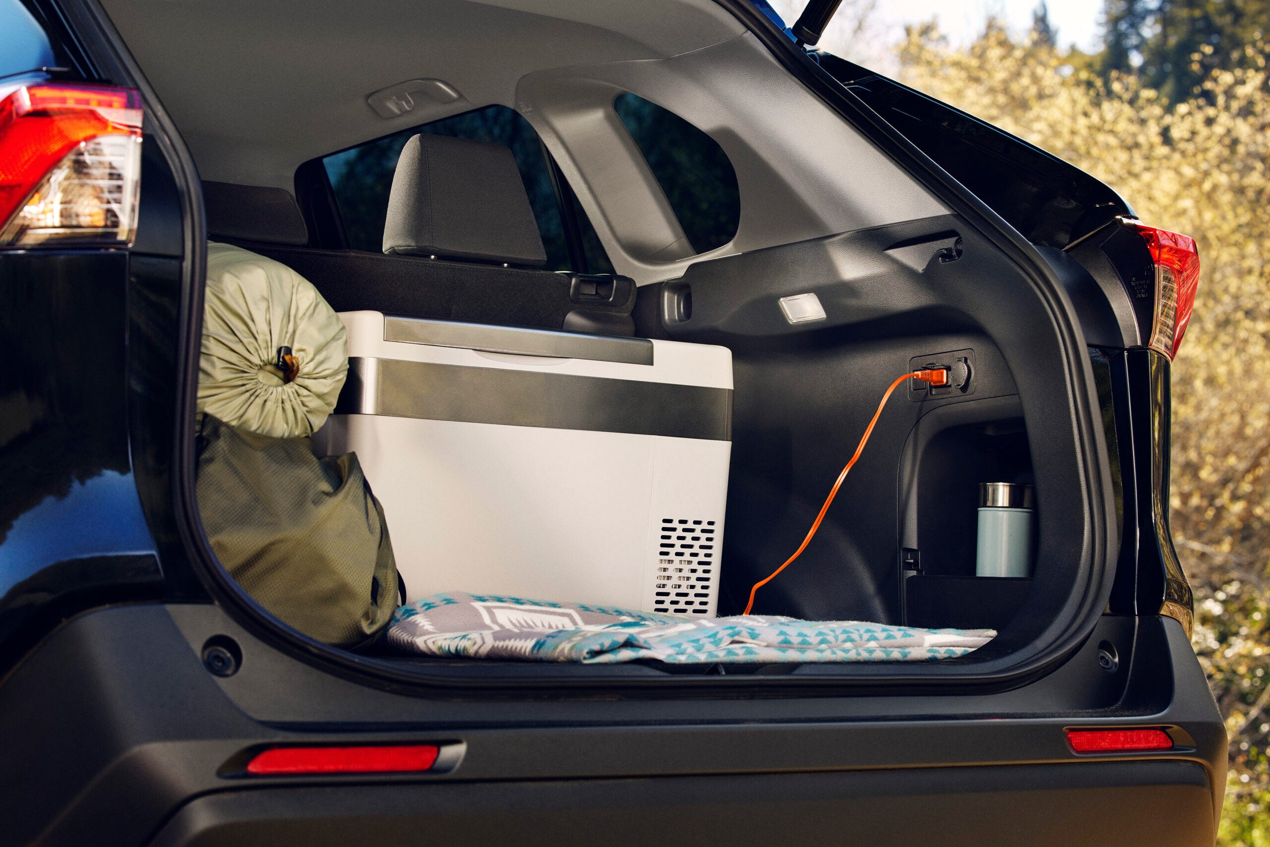 RAV4 Hybrid