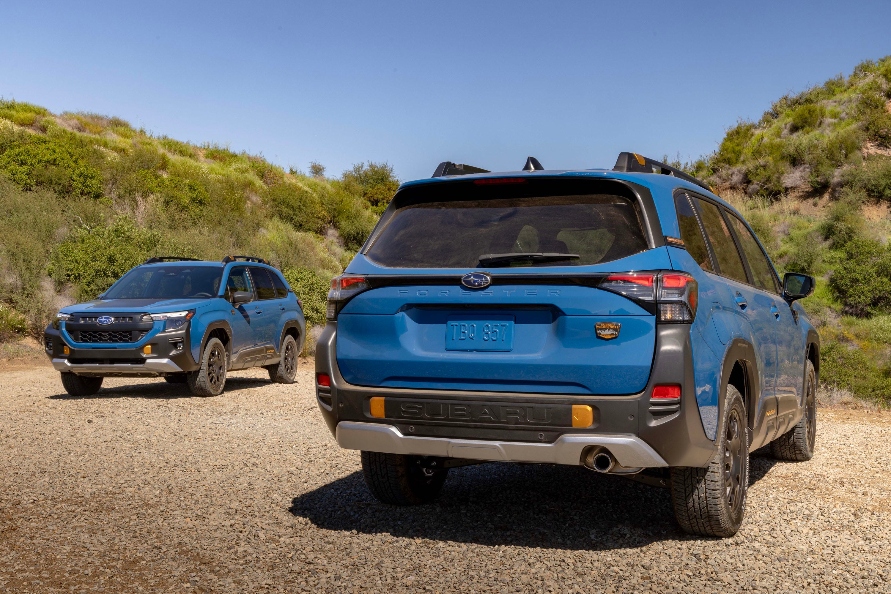 Forester Hybrid