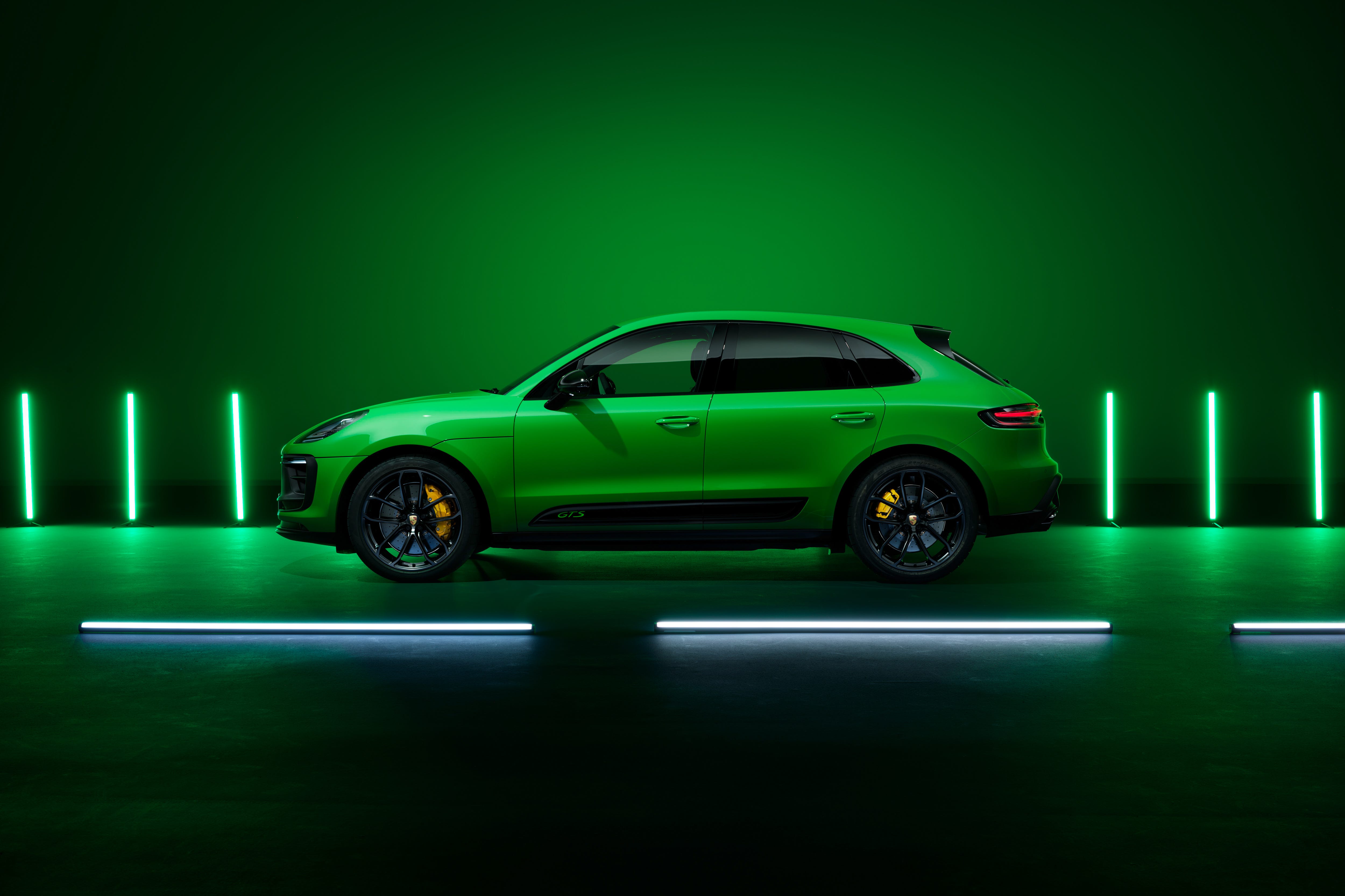 Macan