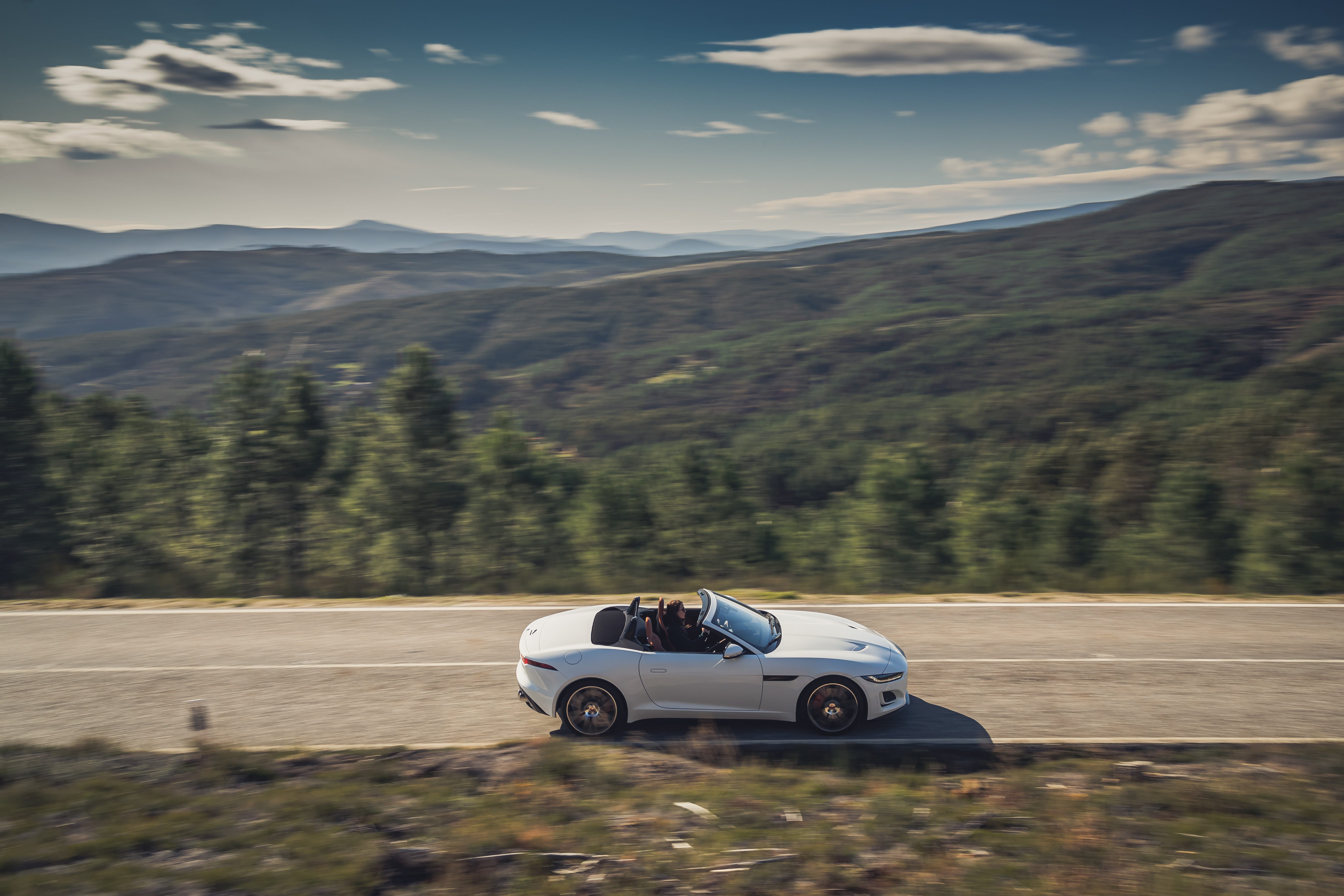 F-Type
