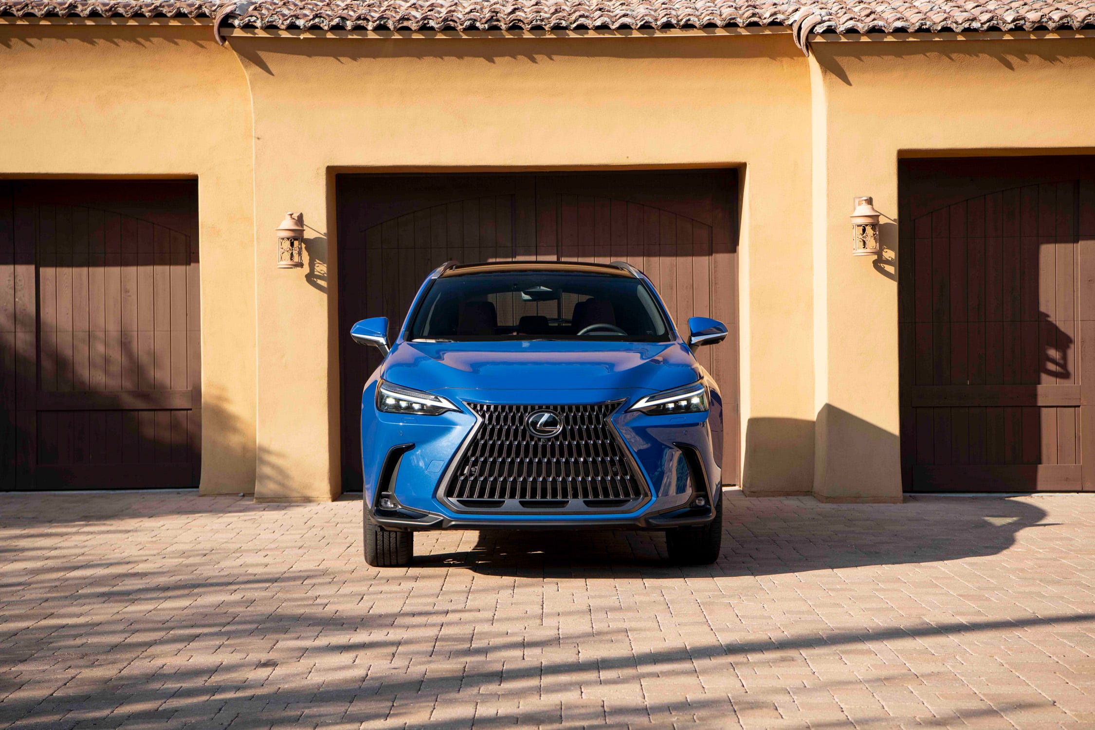 NX Hybrid
