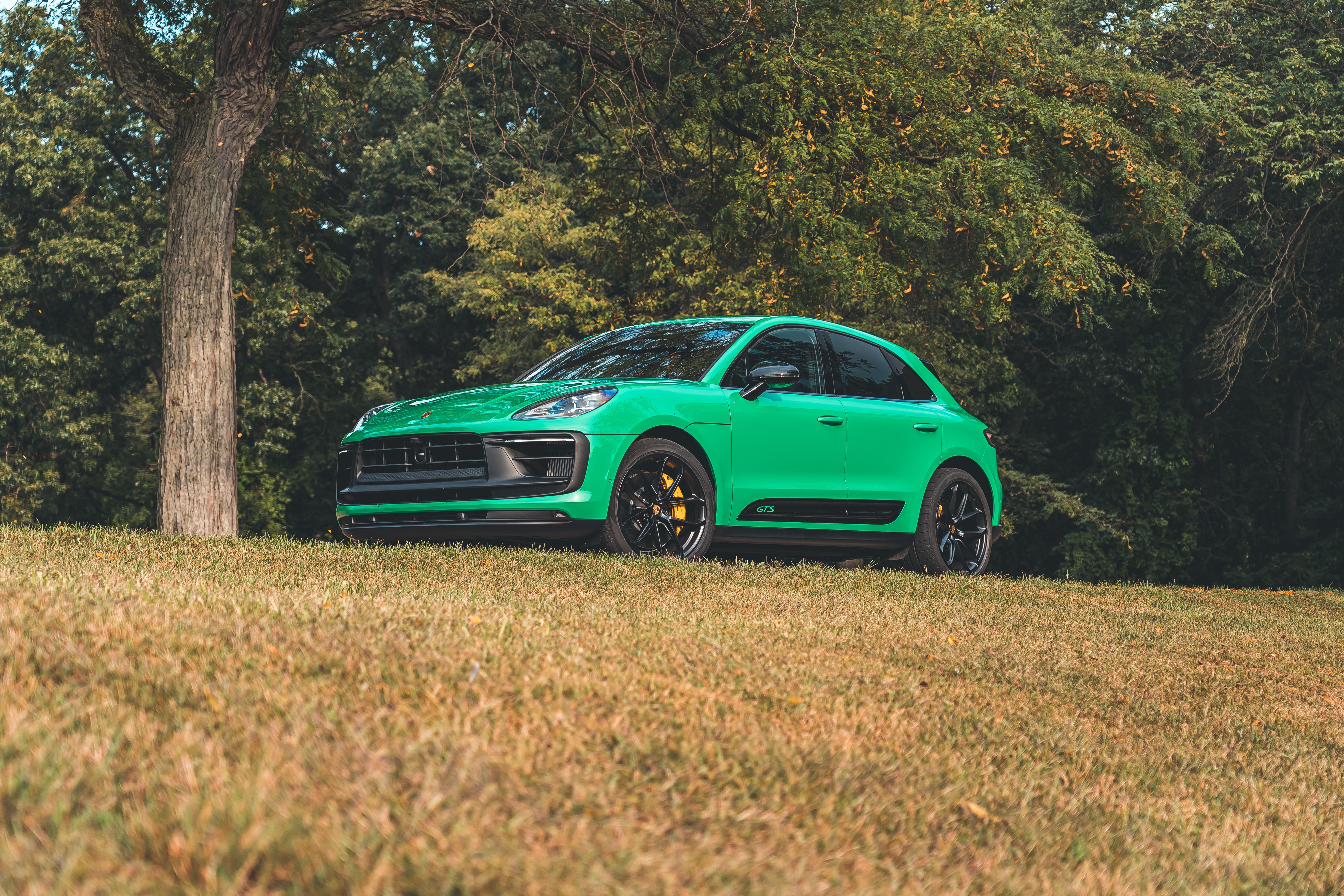 Macan GTS