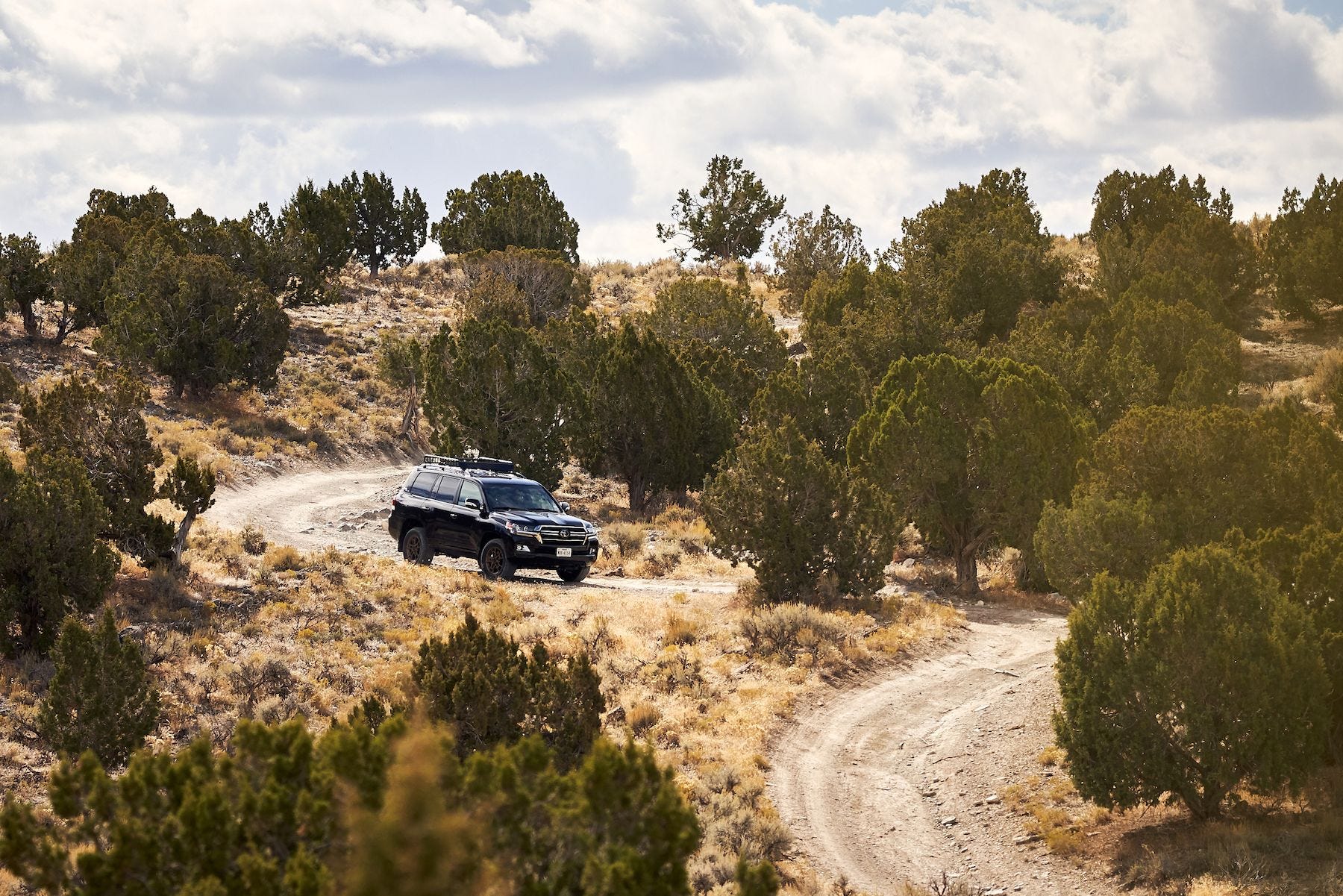 Land Cruiser