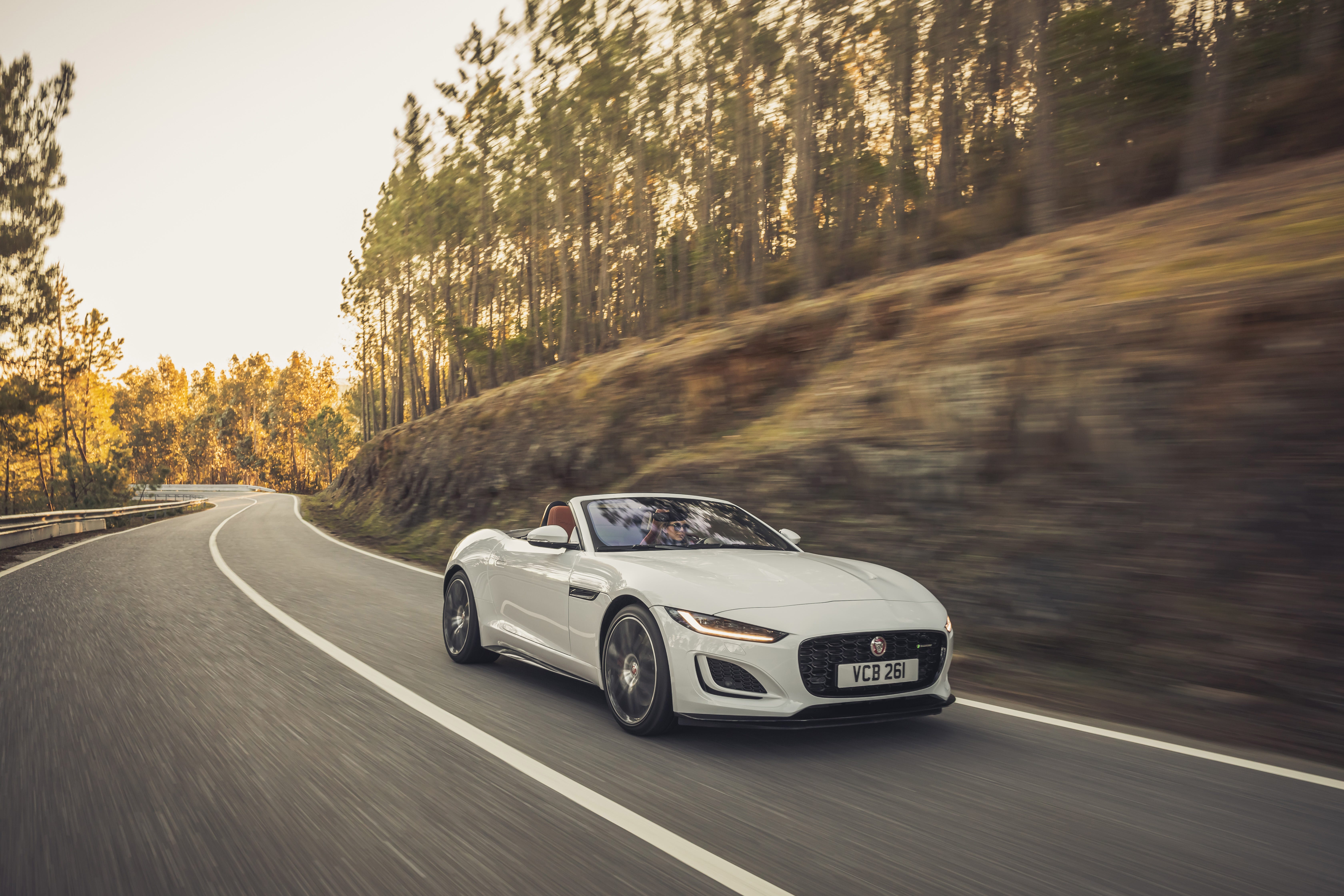 F-Type