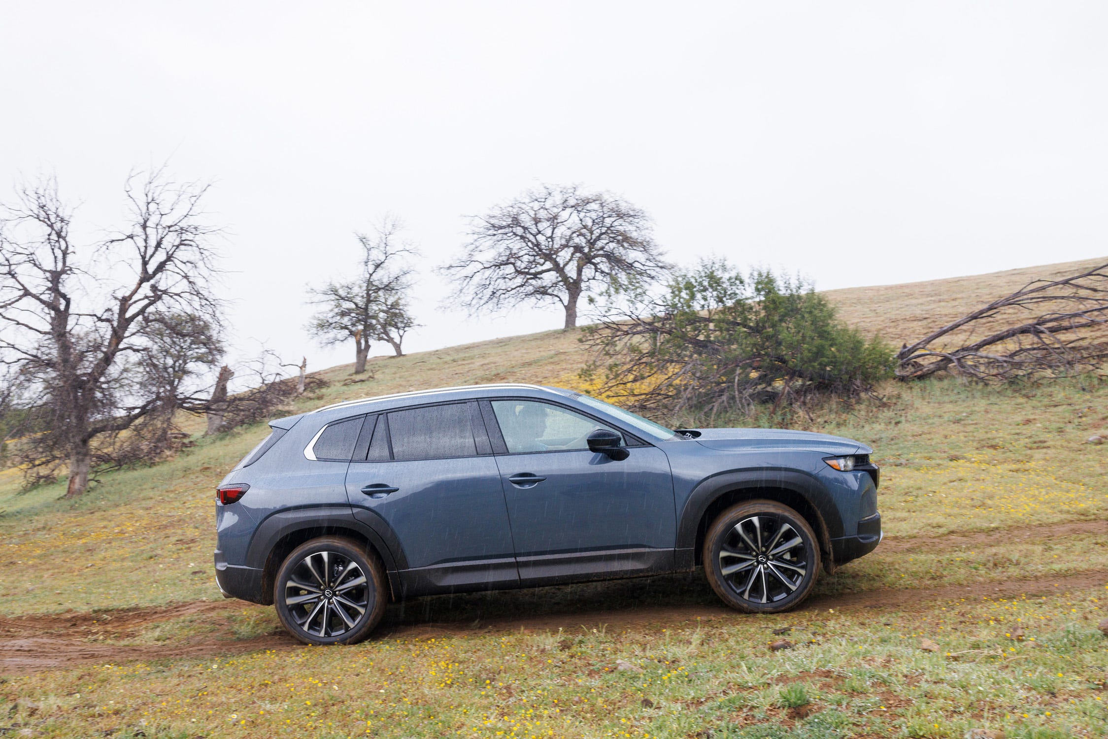 CX-50