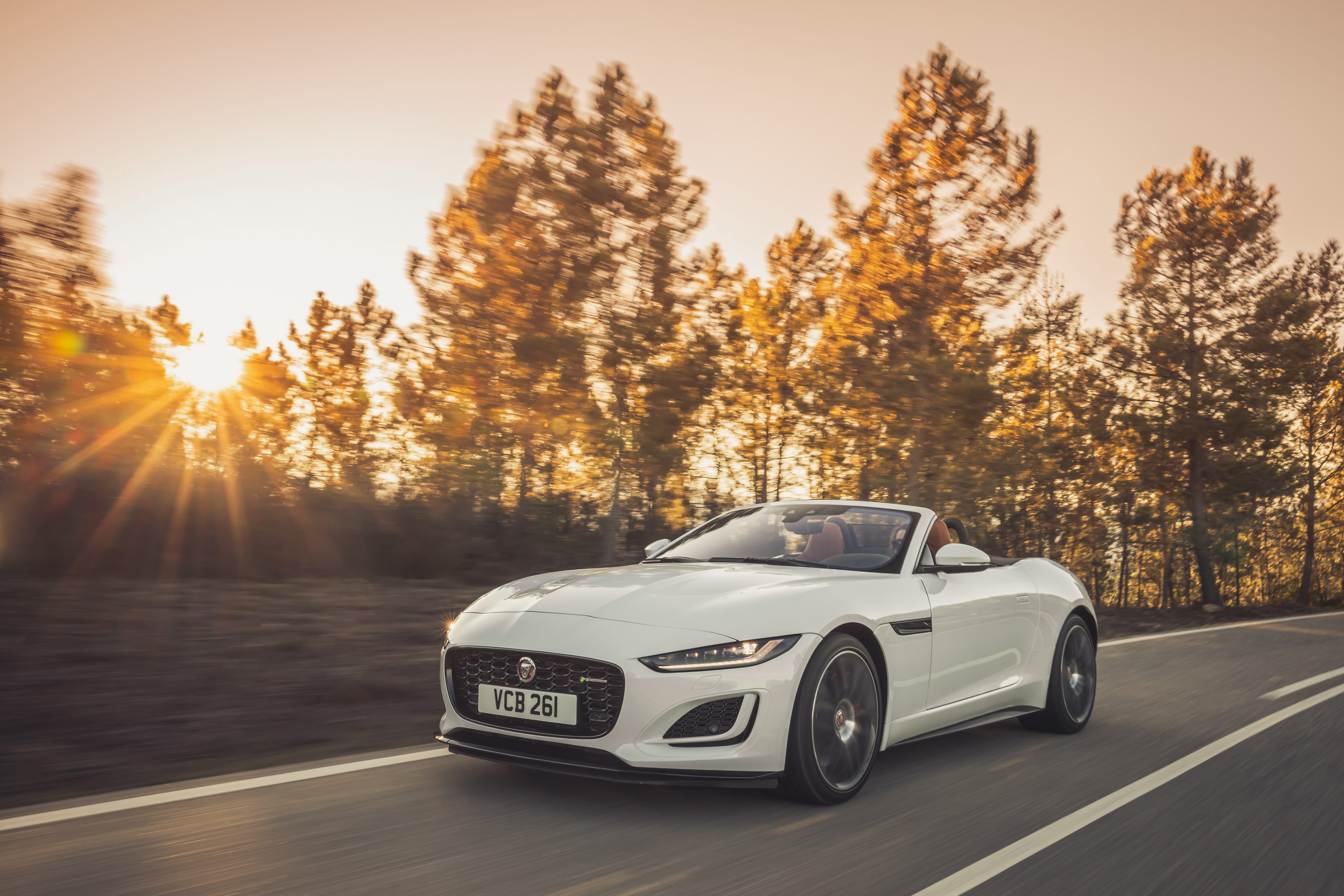 F-Type
