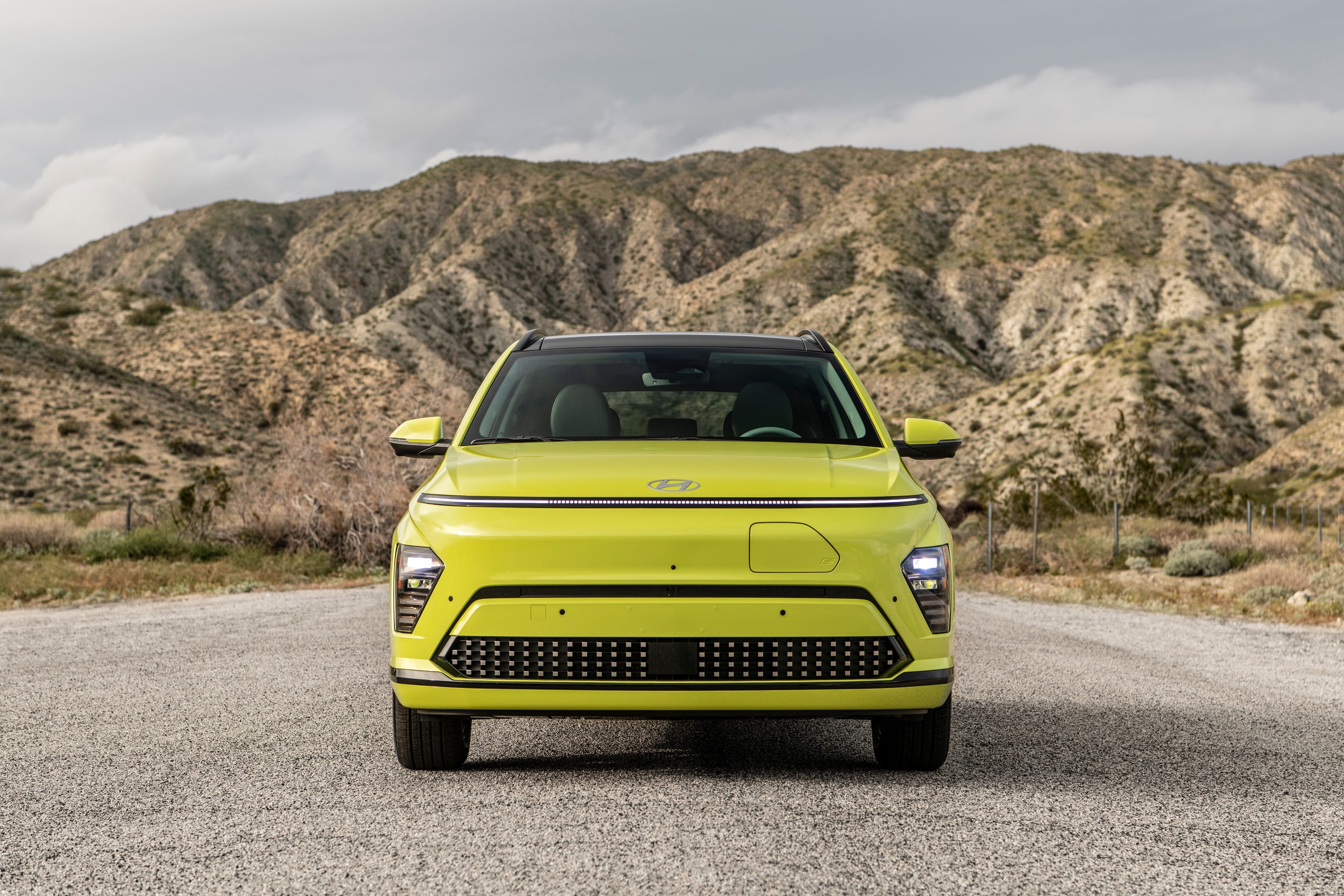Kona Electric