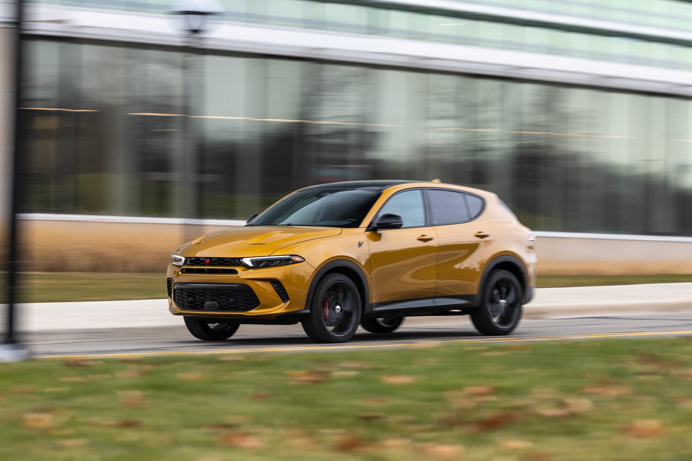 Hornet