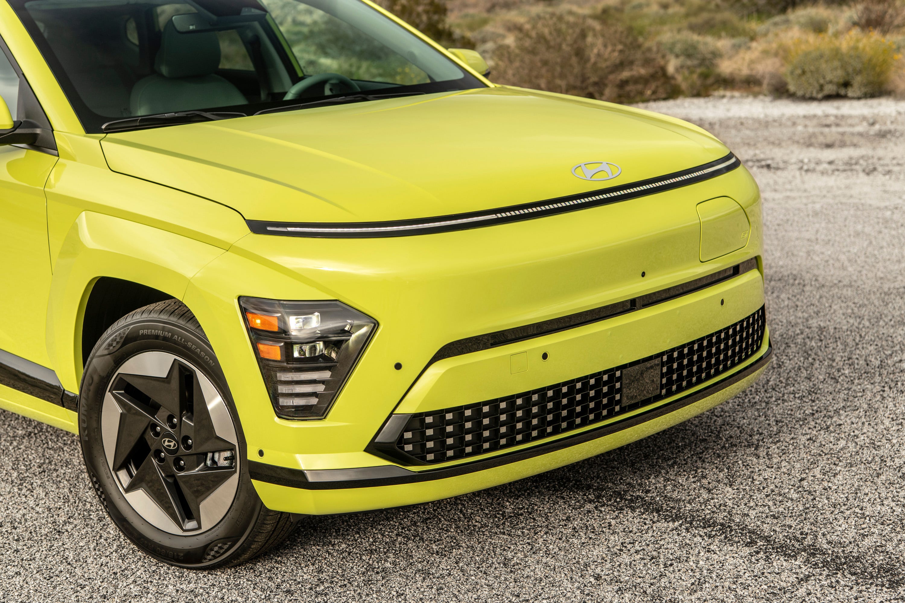 Kona Electric
