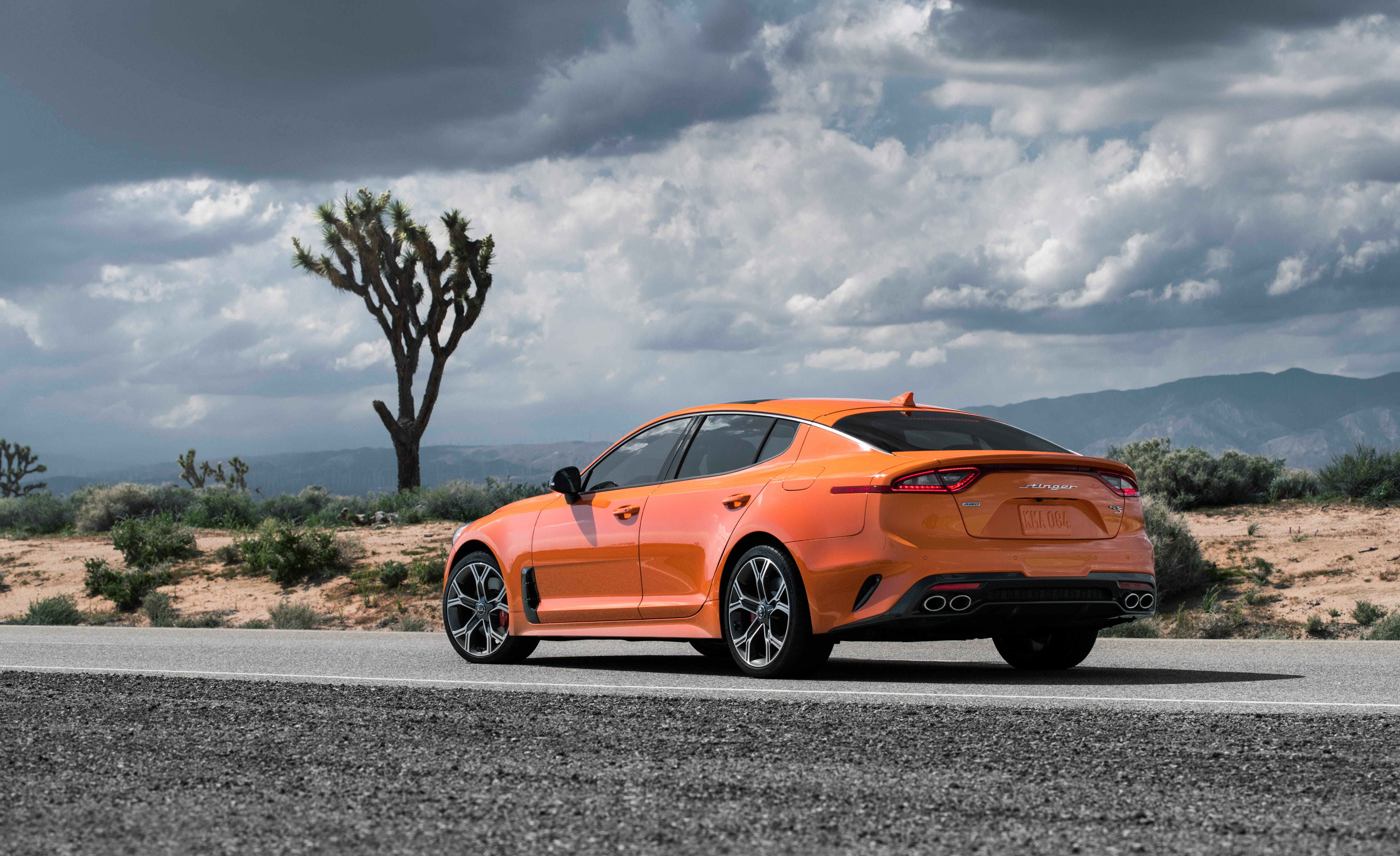 Stinger